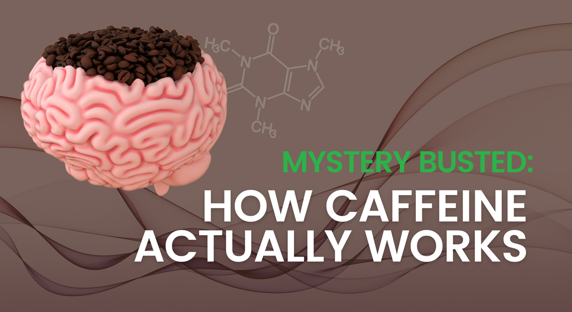 Buy wholesale Brain coffee