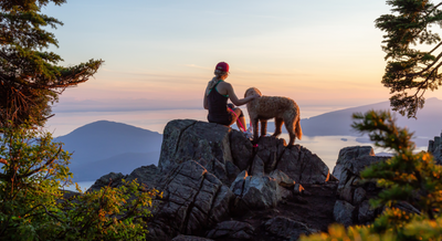 Keep Tails Wagging: 4 Tips for Adventures With Your Dog