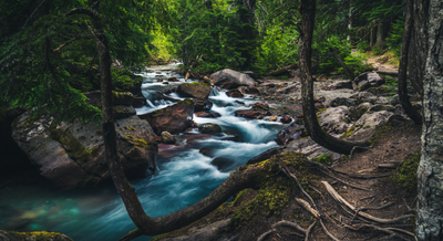 How to Purify Water on the Trail