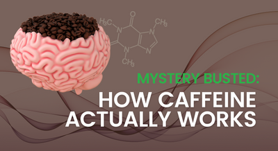 Mystery Busted: How Caffeine Actually Works on Your Brain & Body
