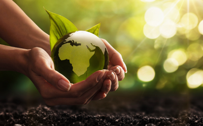 3 Things You Can Do to Help Earth Now