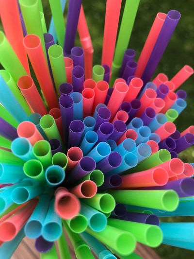 Stainless Steel Straws Help in the Fight Against Plastic Pollution
