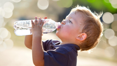 The Ugly Truth: The Dangers of Exposure to BPA