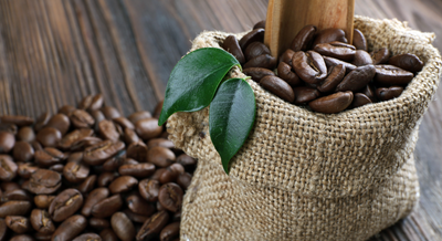 The 4 Best Boutique Coffee Brands to Put in Your BEAST