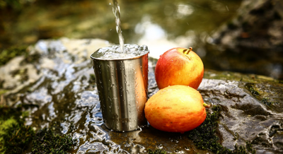 5 Reasons You Need a Tap Water Filter Now