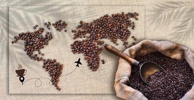 Globetrotting in Your Cup: Exploring the Best Coffee by Country