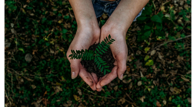 The Least Eco-friendly Celebrities
