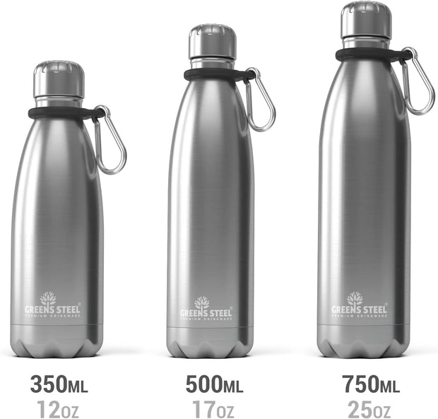 Stainless Steel Double Wall Vacuum Insulated Water Bottle with Carrier Holder for Adults & Kids - 12 oz, steel