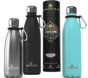 Stainless Steel Double Wall Vacuum Insulated Water Bottle with Carrier Holder for Adults & Kids - common