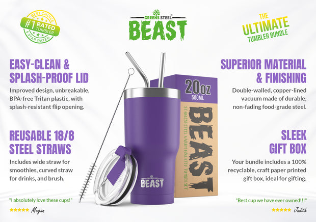 Reusable Stainless Steel Double Insulated Coffee Tumbler With Straw - Greens Steel - 20 oz - Purple